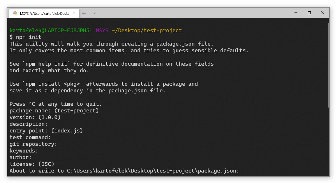 npm init terminal